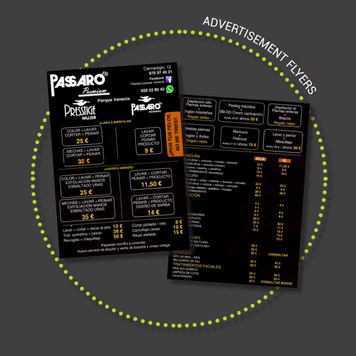 Flyers publicitarios del dossier personal